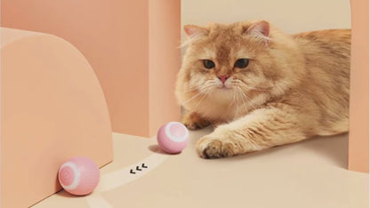 CatRocket Ball - Breng je kat in beweging met deze slimme raketbal – jagen op prooien was nog nooit zo leuk!